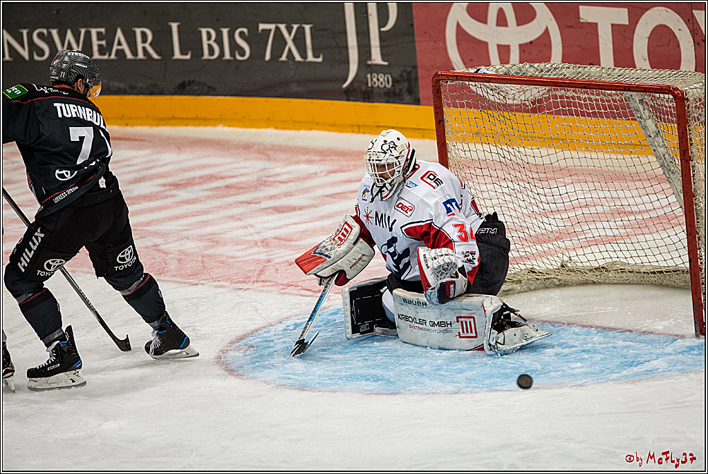 DEL, Koelner Haie - Adler Mannheim, 05.02.2017